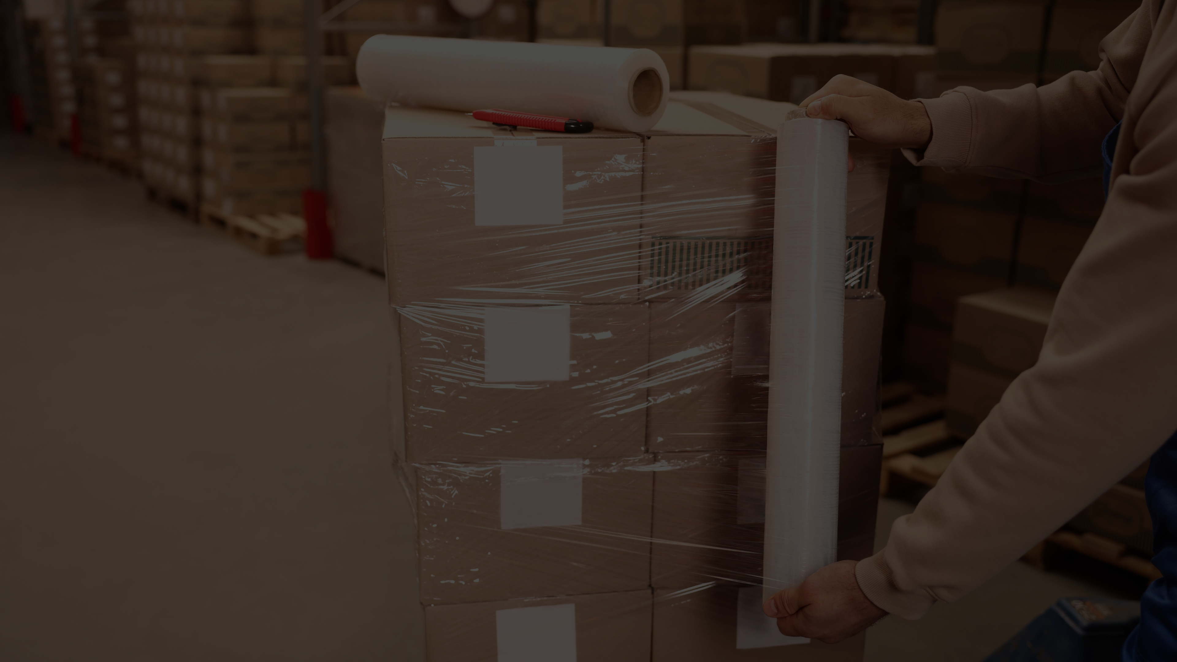 Empowering Your Business with Regional Expertise